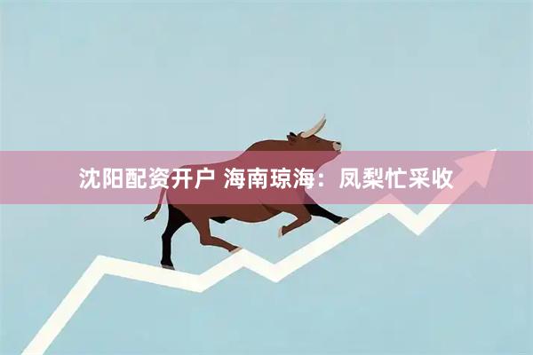沈阳配资开户 海南琼海：凤梨忙采收